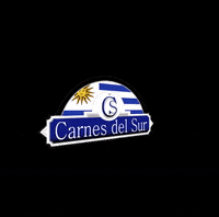 carnesdelsur uruguay carne churrasco carnes GIF