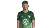 Three Points Win Sticker by VfL Wolfsburg