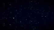 she and him christmas GIF by Columbia Records