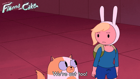 Adventure Time Fionna And Cake GIF by Cartoon Network