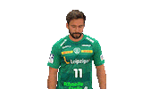 Handball Leipzig Sticker by SCDHFK