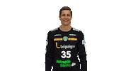 Handball Leipzig Sticker by SCDHFK