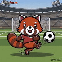 Red Panda GIF by PandaMania