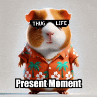 Wisdom Present Moment GIF by Guinea Gambino