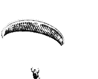 Fly Pilot Sticker by Carinthian Paragliders