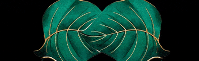 InterMediaContentMakers giphygifmaker flash magazine look at this GIF