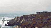 Bay Area House GIF by Chris