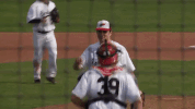 nccbaseball GIF by NCAlumni