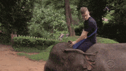 cbs travel GIF by tyler oakley
