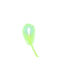 Katy Perry Lol Sticker by HITRECORD