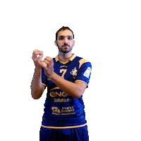 Sport Celebration Sticker by Massy Essonne Handball