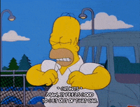 homer simpson episode 3 GIF