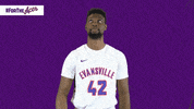 Purple Aces Evansville GIF by UE Athletics