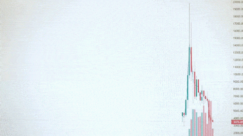 bigshotlili giphyupload GIF