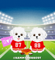 Football Dogs GIF by HammyandBrody