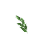 Flor Sticker by byflorecer