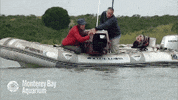 sea otter rescue GIF by Monterey Bay Aquarium