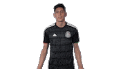 mexico national team football Sticker by MiSelecciónMX