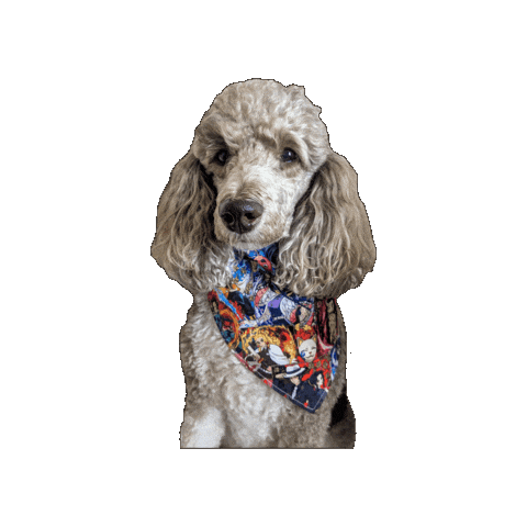 Demon Slayer Poodle Sticker by Geekster Pets