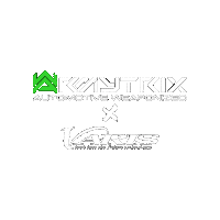 Fire Car Sticker by ARMYTRIX OFFICIAL