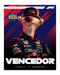 Max Verstappen Winner Sticker by Sou Eu Na Vida