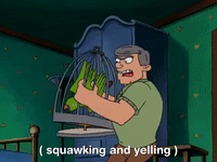 hey arnold nicksplat GIF