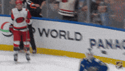 Happy Carolina Hurricanes GIF by NHL