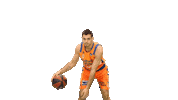 Liga Endesa Spinning Sticker by ACB