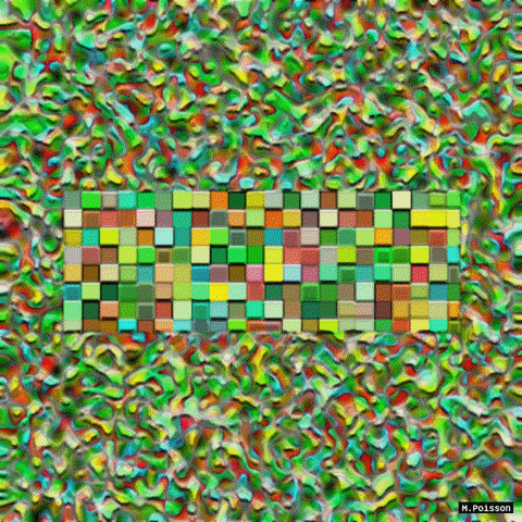 GIF by Michel Poisson