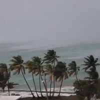 Tropical Storm Isaias Forms Near Puerto Rico, Bringing Wild Winds