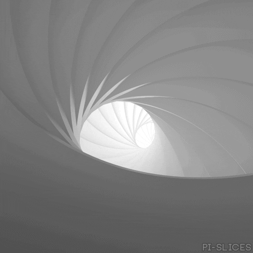 pislices giphyupload loop 3d trippy GIF