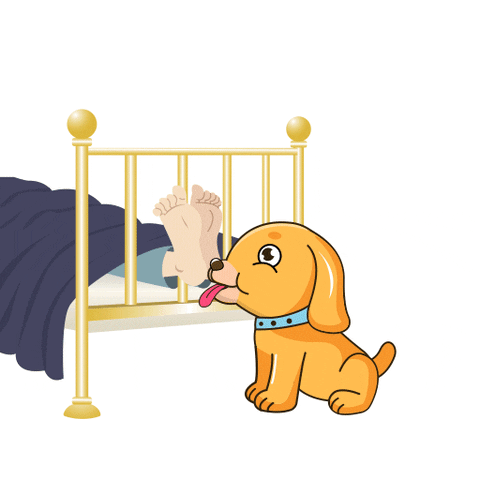 Good Morning Love GIF by MyMorningDog