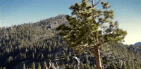 nevada GIF