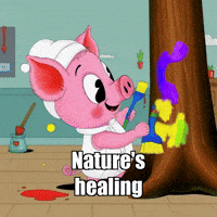 Wisdom GIF by The Pigasso