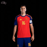 Fifa World Cup Spain GIF by Respective
