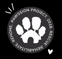 PawssionProject cat dog rescue pawssion GIF