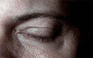 Willyfog giphyupload GIF