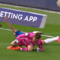 Save Come On GIF by MillwallFC