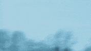 rodeo nowness picks GIF by NOWNESS
