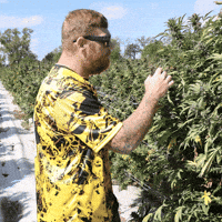 Plant Grow GIF by Exclusive Brands