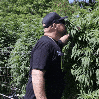 Plant Grow GIF by Exclusive Brands