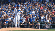 fist pedro GIF by MLB