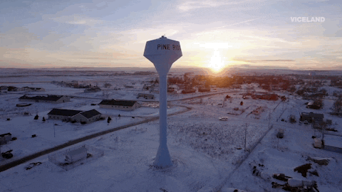 viceland GIF by VICE WORLD OF SPORTS