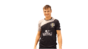 hcbkarvina celebrate handball hazena paulo Sticker