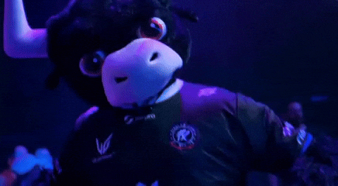 Touro Vapo GIF