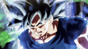 Dragon Ball Kefla GIF by Toei Animation