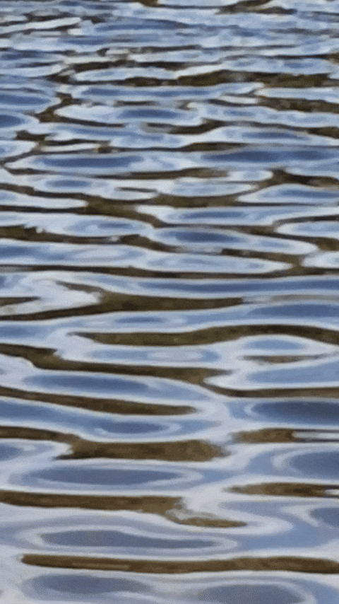 Simongip giphyupload GIF