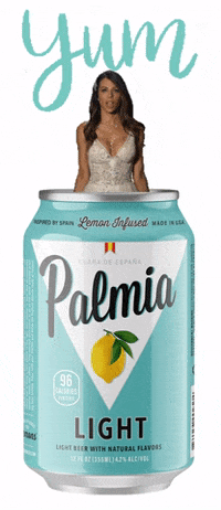 Party Drinking GIF by Palmia Beer