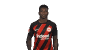 Knock Knock Sticker by Bundesliga