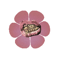 Mad City Sticker by madcity boxing